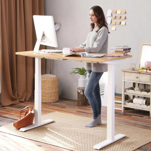 Why Revolutionise Your Workspace With A Height Adjustable Desk?